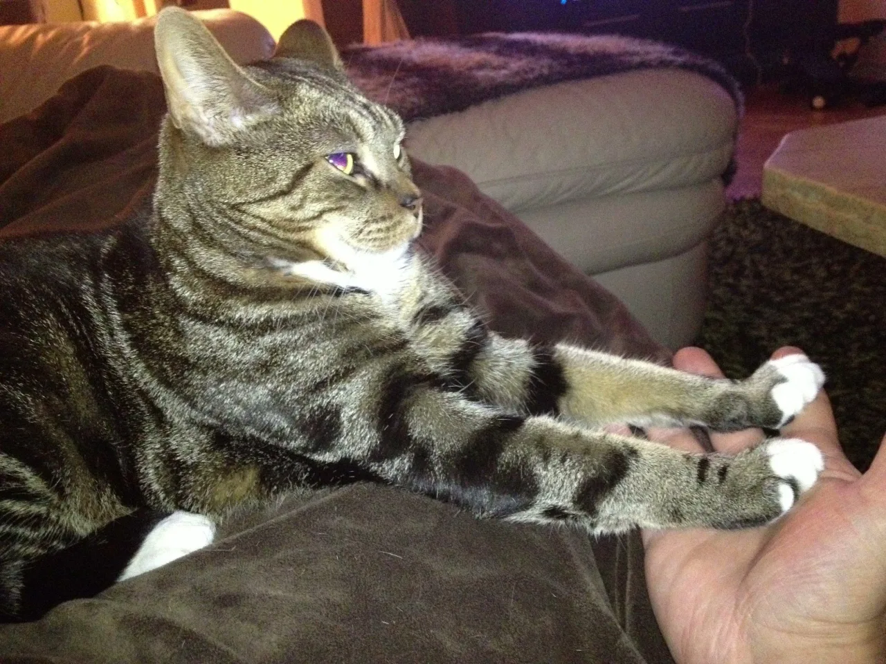 Sasha: Always holding paws.