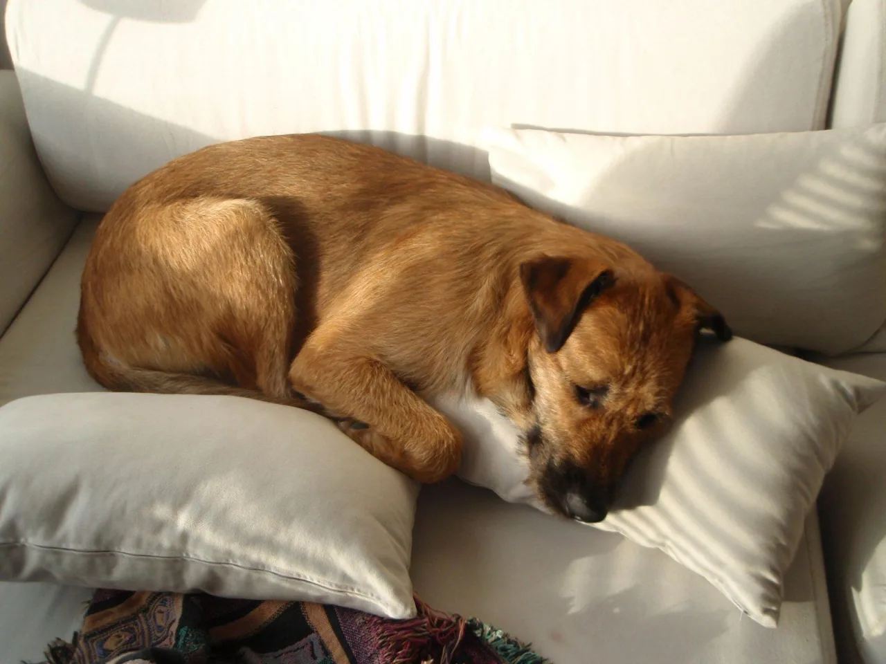 Birk: So tired.